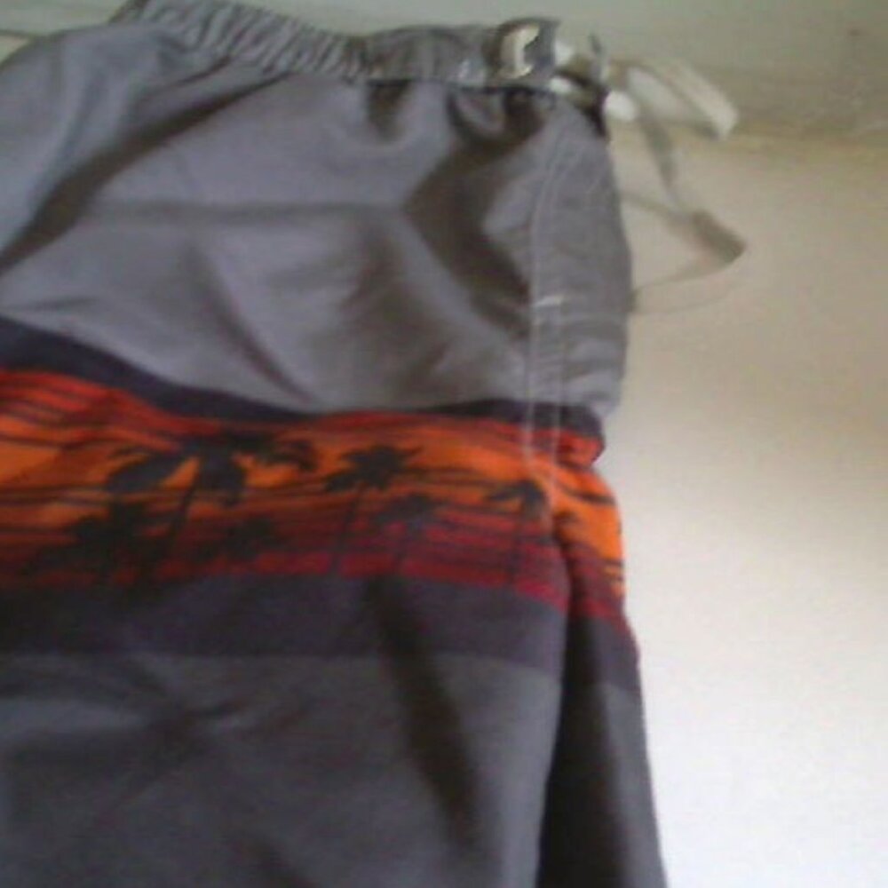 Big Chill Boys Swim Trunks